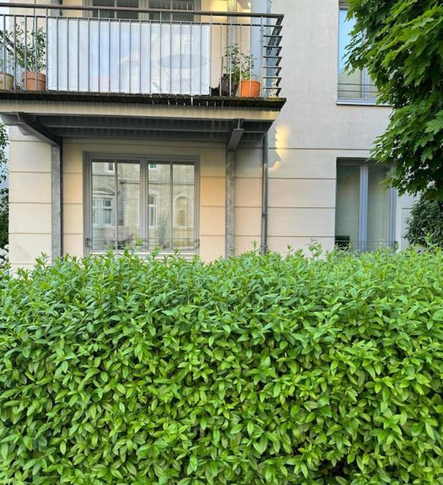 Gemuetliches Apartment Im Herzen Detmolds Екстер'єр фото