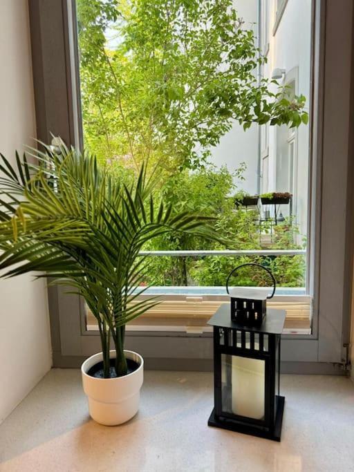 Gemuetliches Apartment Im Herzen Detmolds Екстер'єр фото
