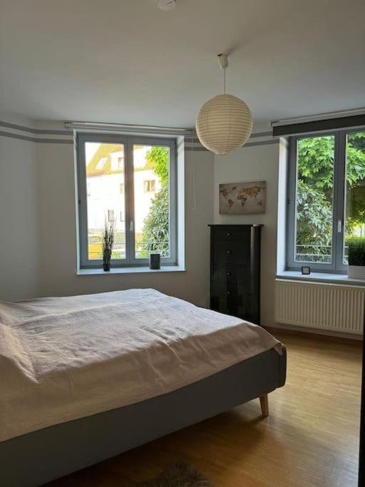 Gemuetliches Apartment Im Herzen Detmolds Екстер'єр фото